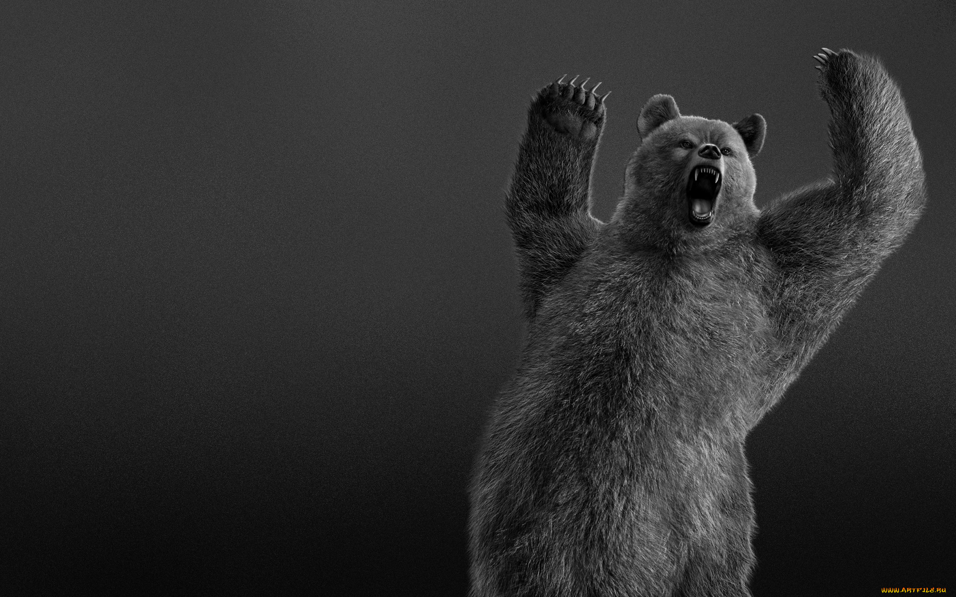 Медведь на черном фоне. Медведь фон. Медведь обои. Фон для рабочего стола медведь.